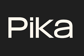 Pika.art – AI 视频生成工具